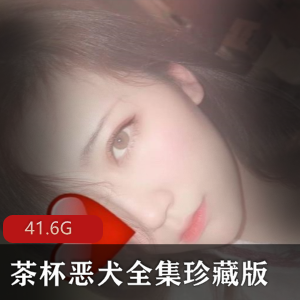 极品推特网红韩雅茜全集整【52P 38V 2.4G】百...