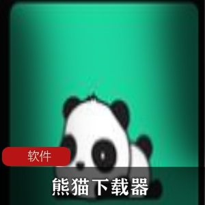 实用软件《熊猫下载器》安卓BT下载神器推荐