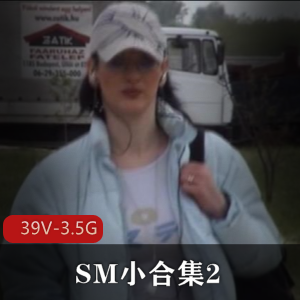 SM小合集2 17V-3.8G