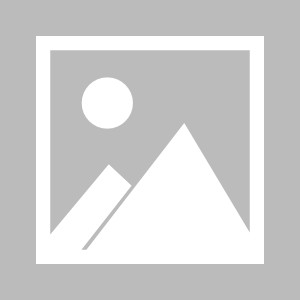 蘑菇mv（蘑菇mv官网入口链接是什么）